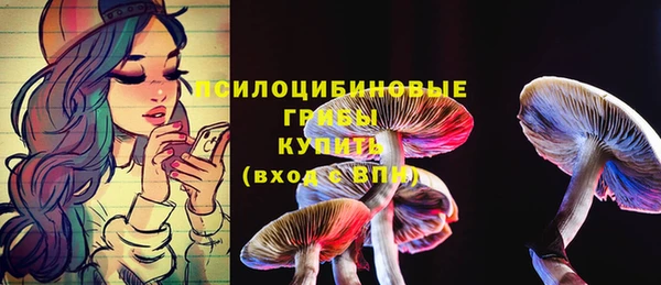 сатива Касимов