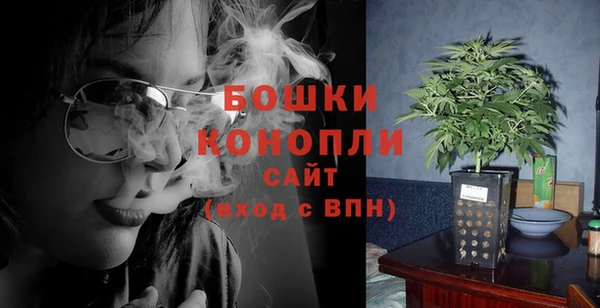 амф Карпинск
