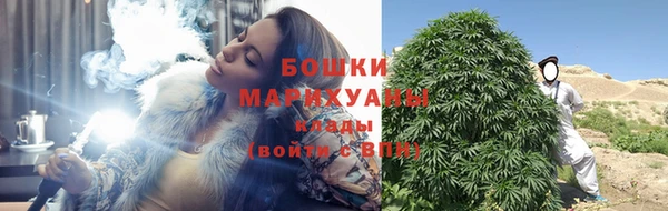 амф Карпинск