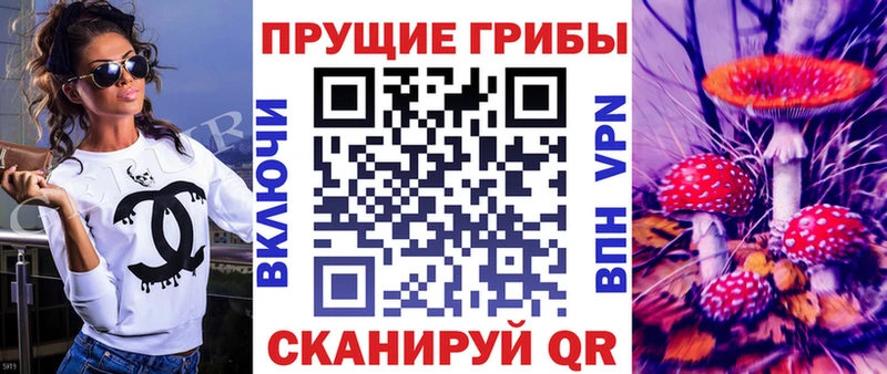 как найти наркотики  Ачинск  площадка телеграм  Галлюциногенные грибы MAGIC MUSHROOMS 